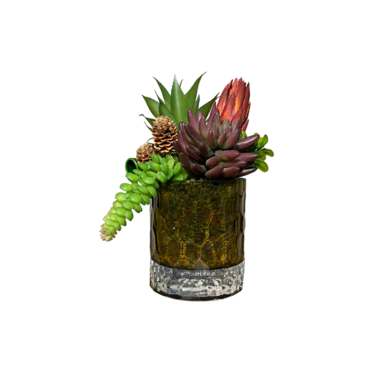 Çakıl Desen Cam Saksılı Sukulent Mini - Yağ Yeşil