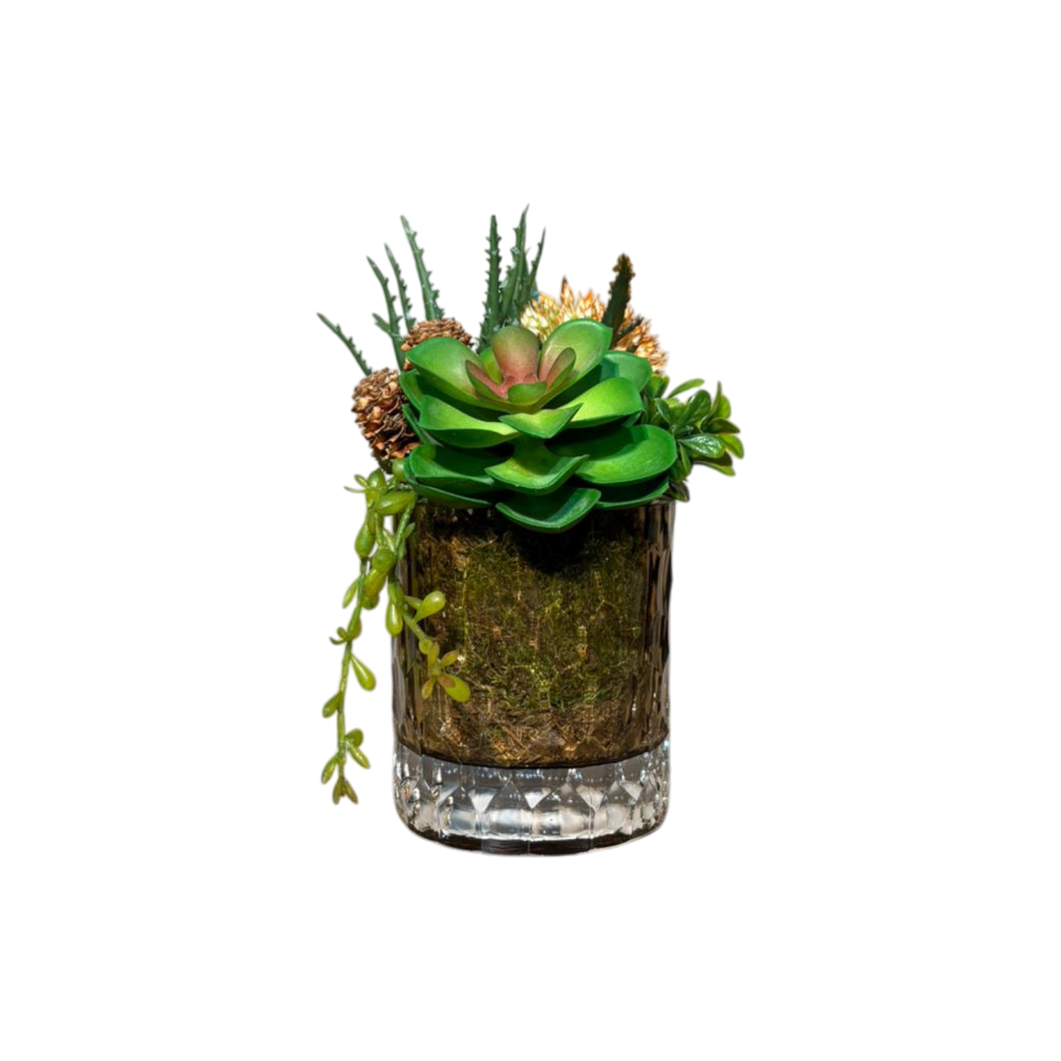 Çakıl Desen Cam Saksılı Sukulent Mini - Şampanya