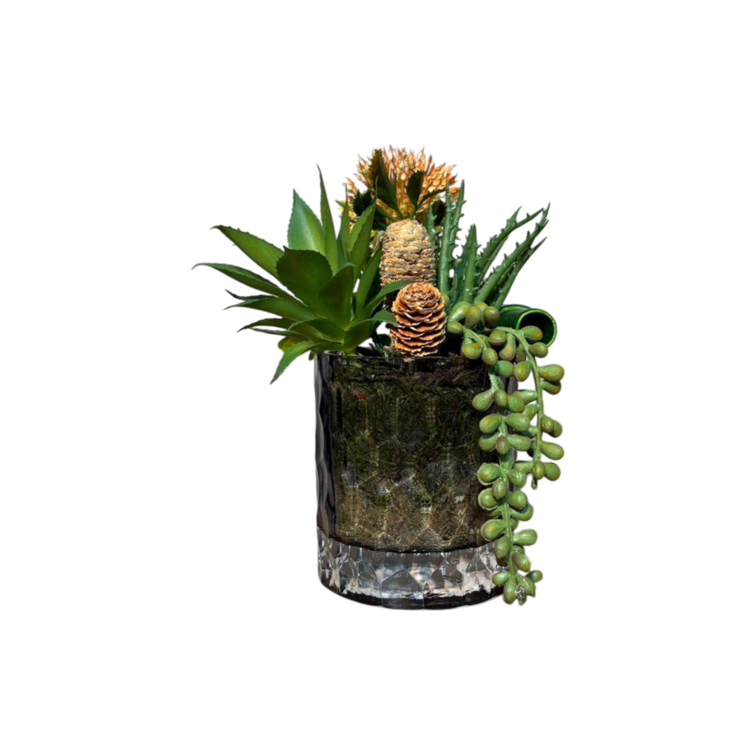 Çakıl Desen Cam Saksılı Sukulent Mini - Füme