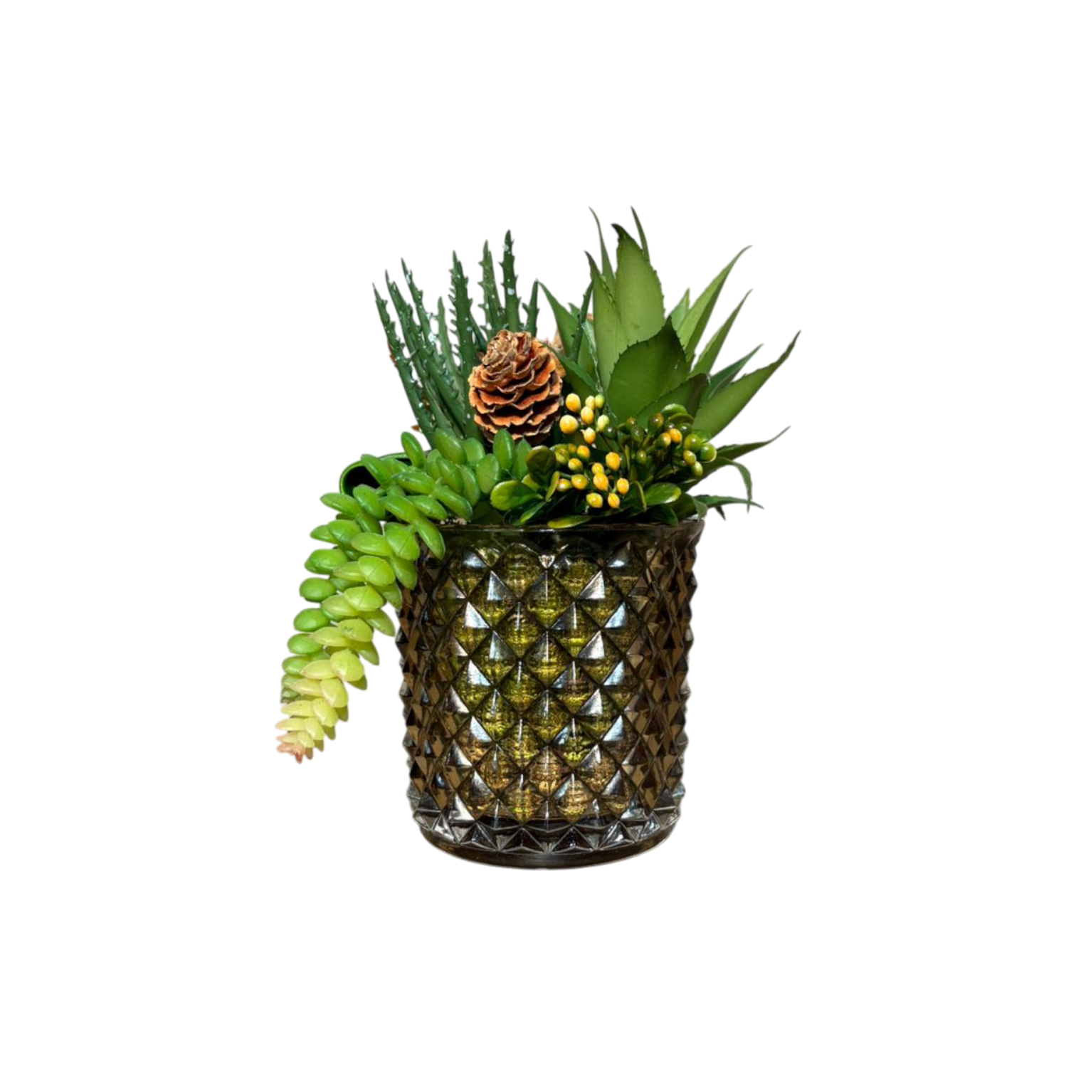 Elmas Desen Cam Saksılı Sukulent Mini - Yağ Yeşili