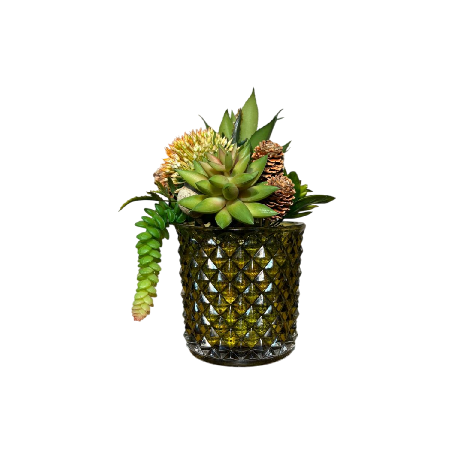 Elmas Desen Cam Saksılı Sukulent Mini - Şampanya