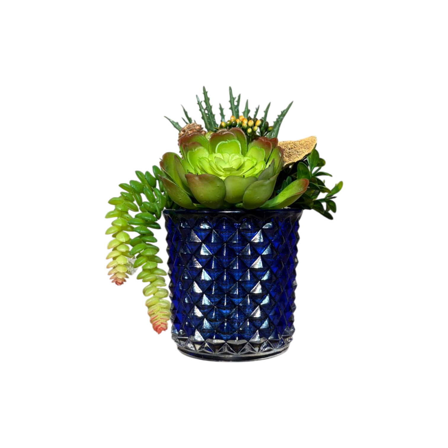 Elmas Desen Cam Saksılı Sukulent Mini - Mavi