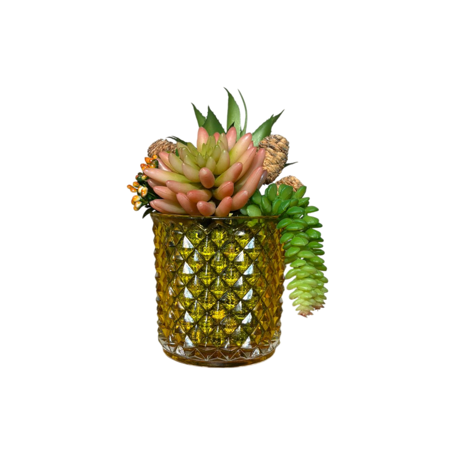 Elmas Desen Cam Saksılı Sukulent Mini - Sarı