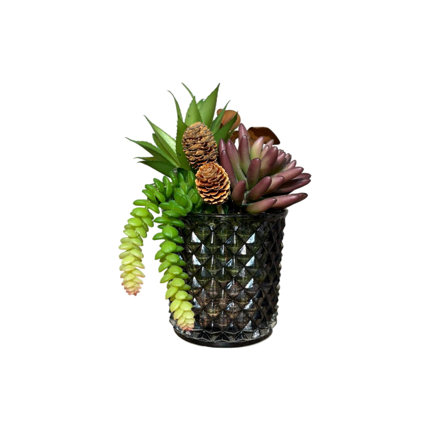 Elmas Desen Cam Saksılı Sukulent Mini - Füme