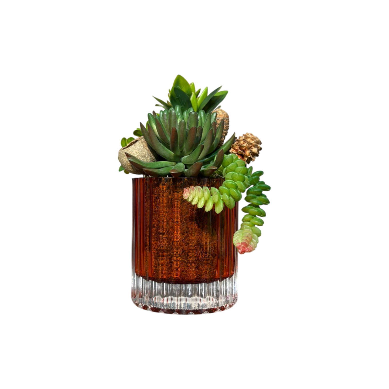 Çizgi Desen Cam Saksılı Sukulent Mini - Turuncu