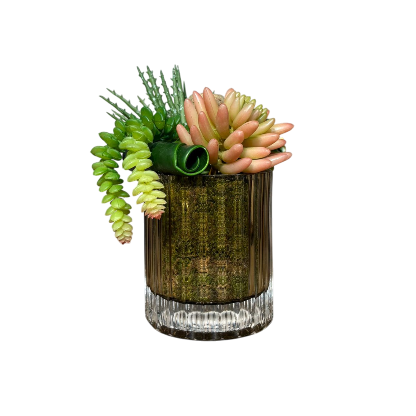 Çizgi Desen Cam Saksılı Sukulent Mini - Şampanya