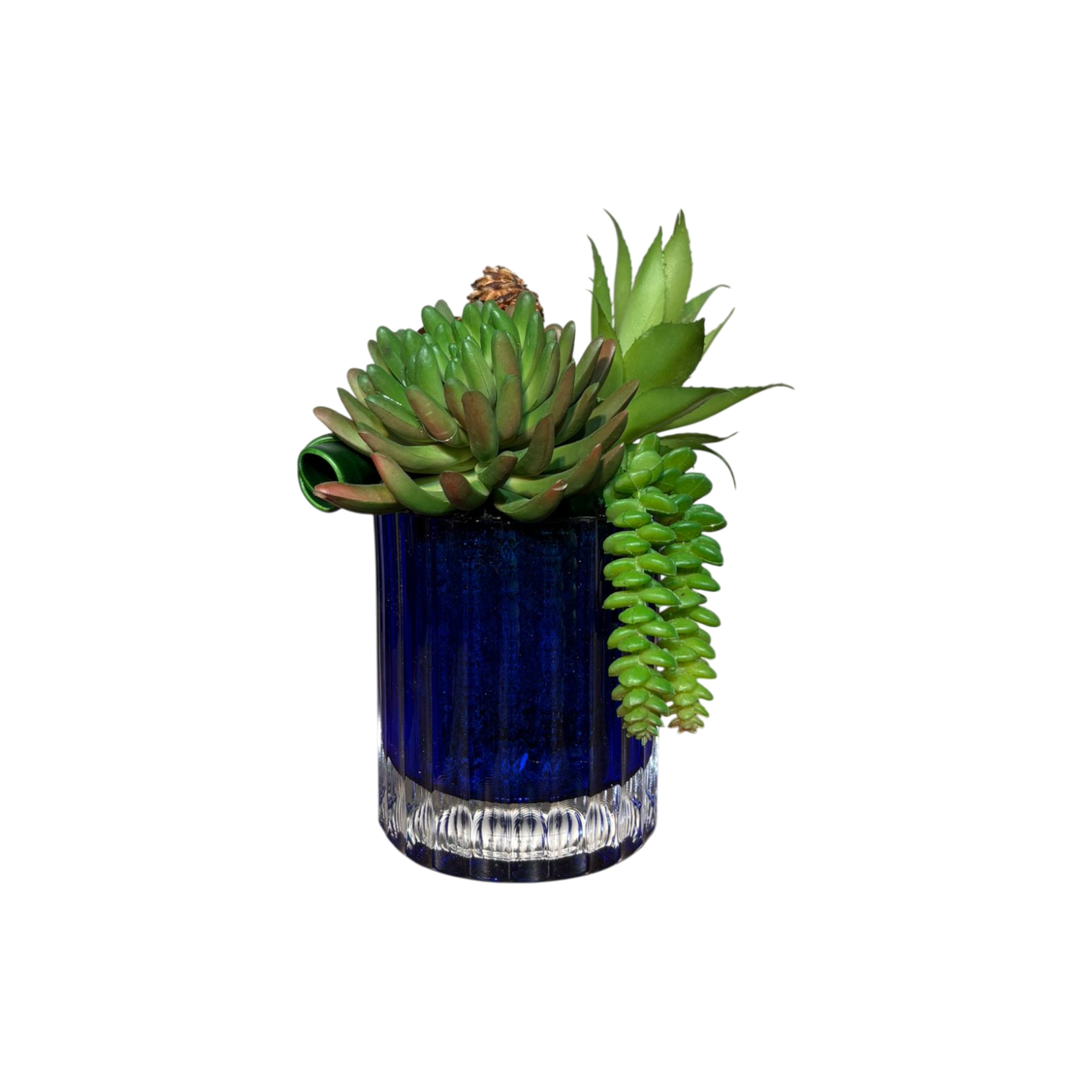 Çizgi Desen Cam Saksılı Sukulent Mini - Mavi