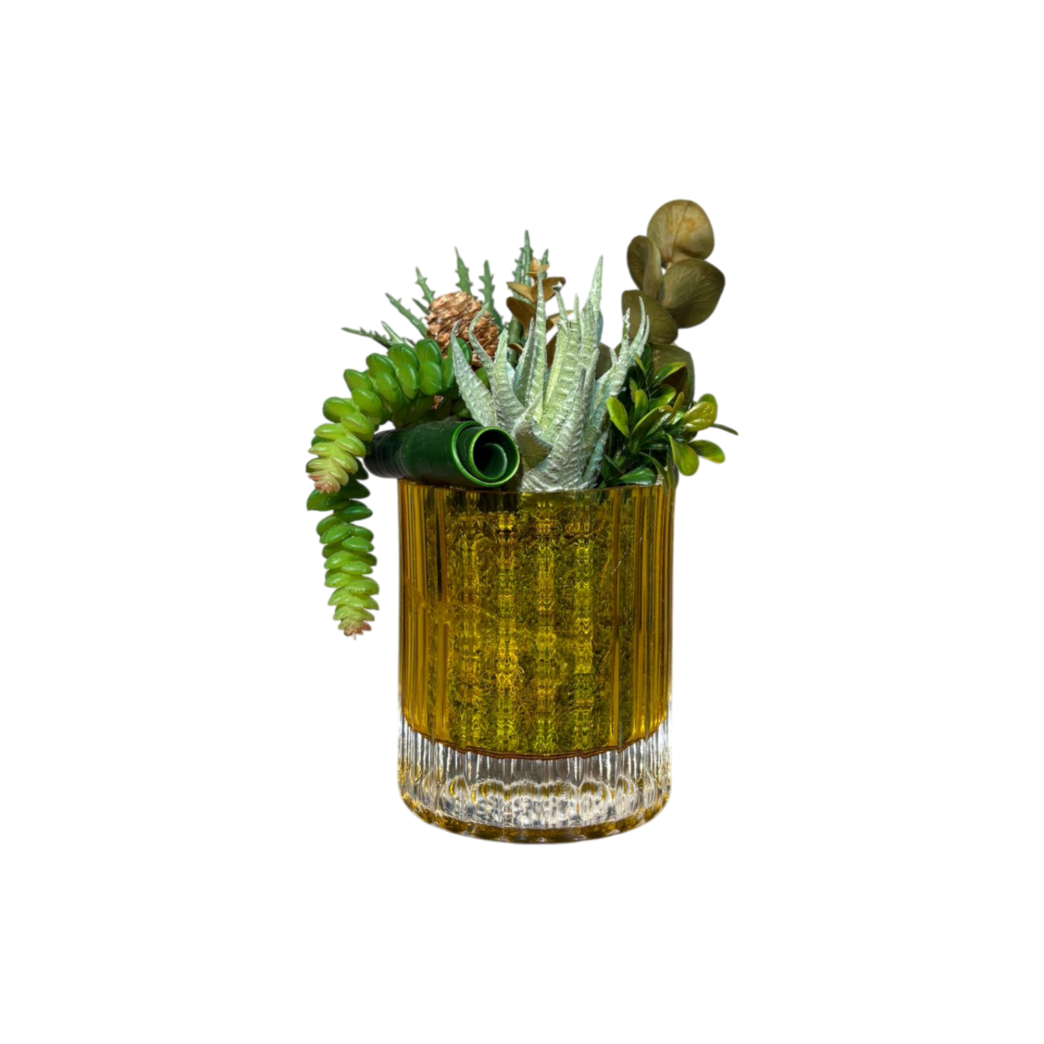 Çizgi Desen Cam Saksılı Sukulent Mini - Sarı