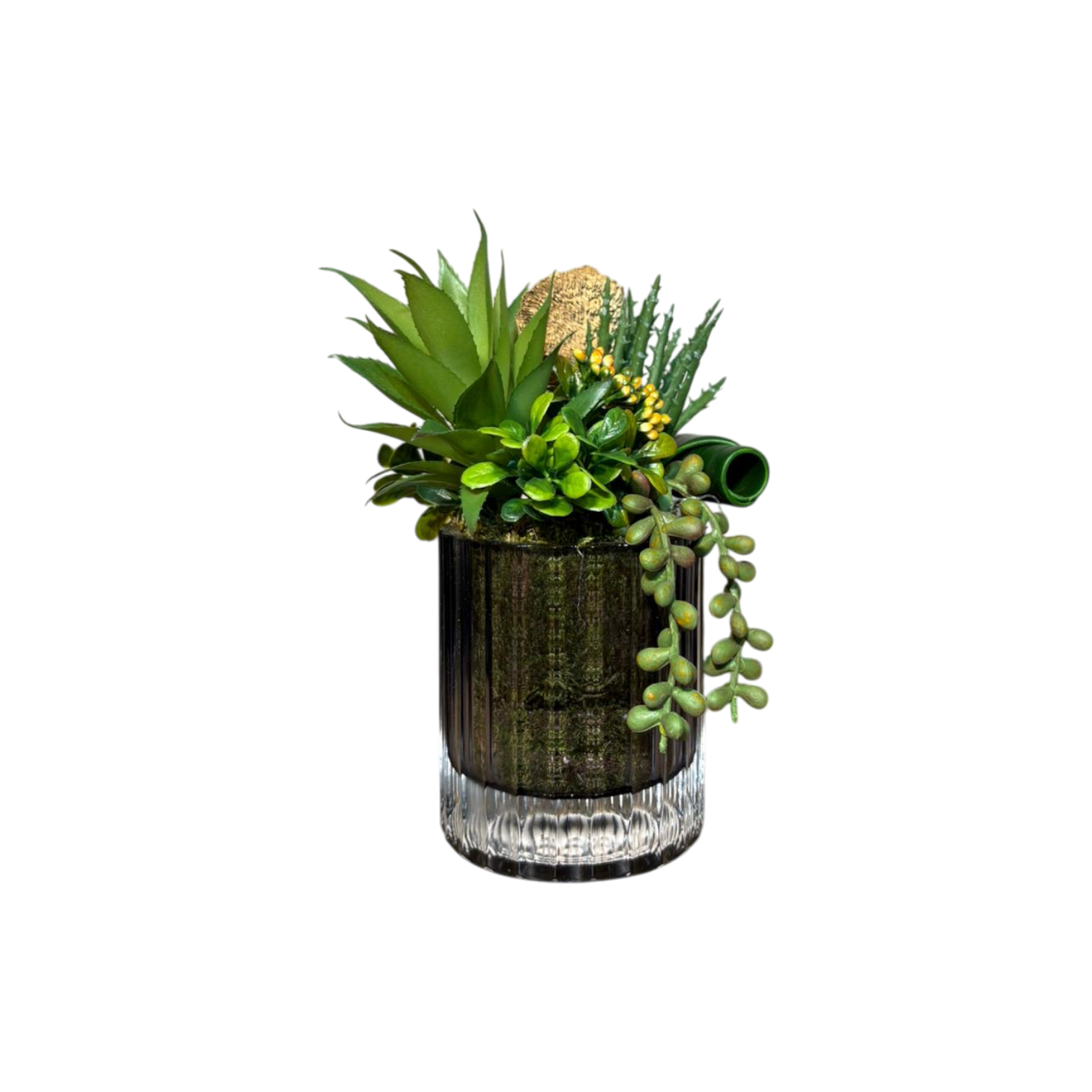 Çizgi Desen Cam Saksılı Sukulent Mini - Füme