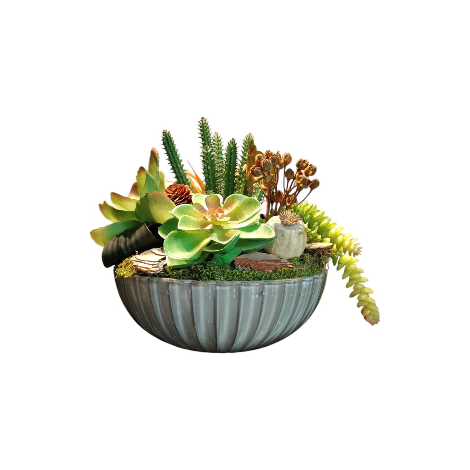 Cam Saksılı Sukulent - Gri