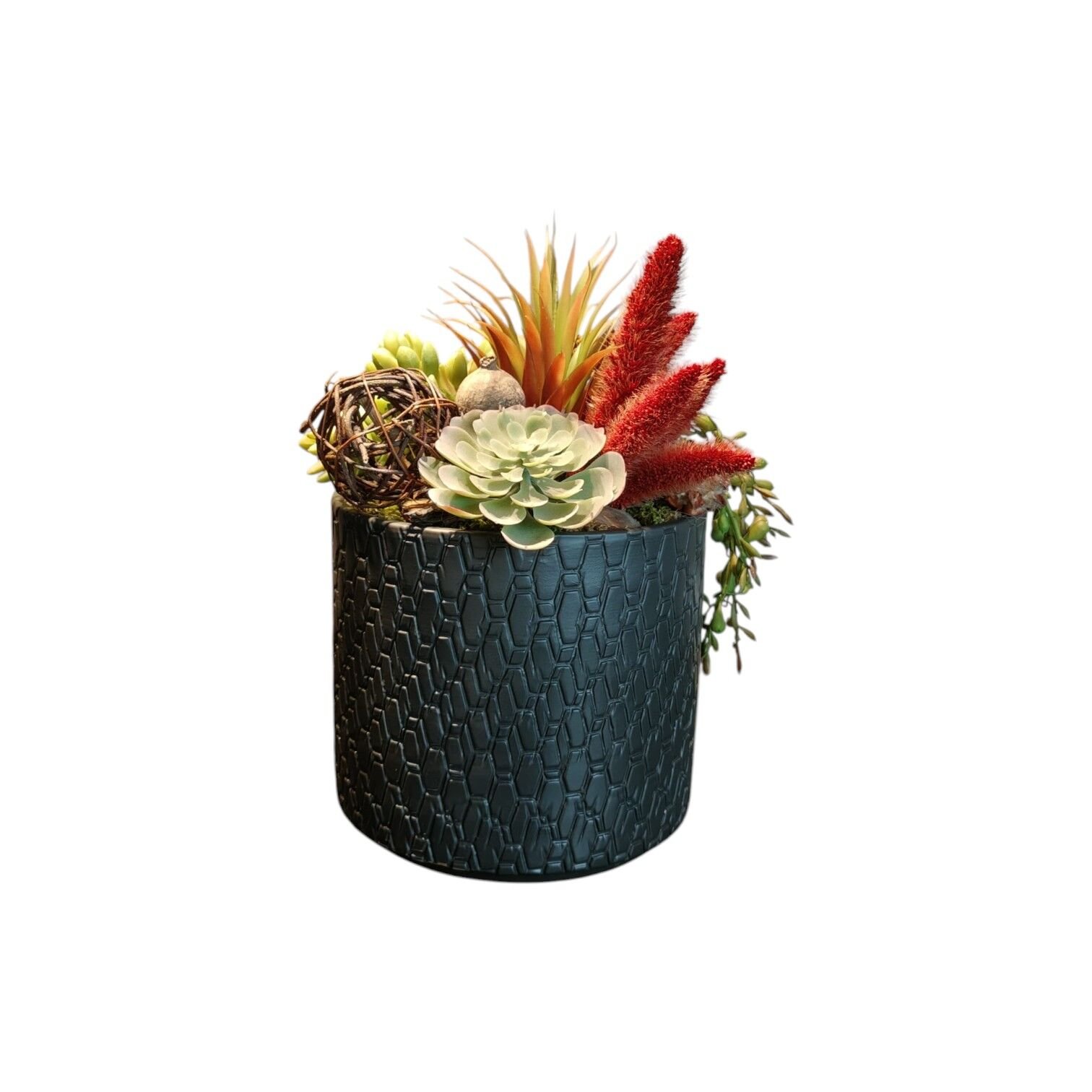 Seramik Saksı Sukulent - Siyah