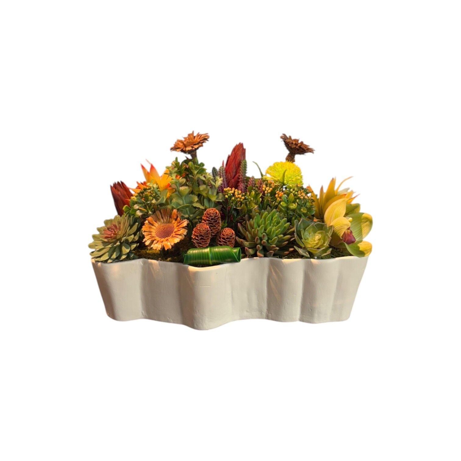 Çizgili Seramik Saksı Sukulent - Krem