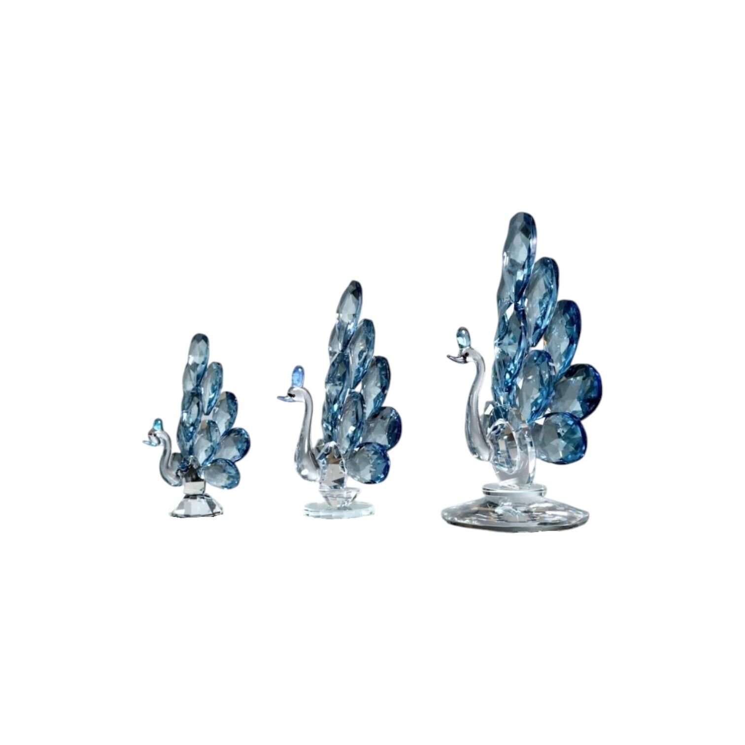 3'lü Tavus Kuşu Takım - Mavi