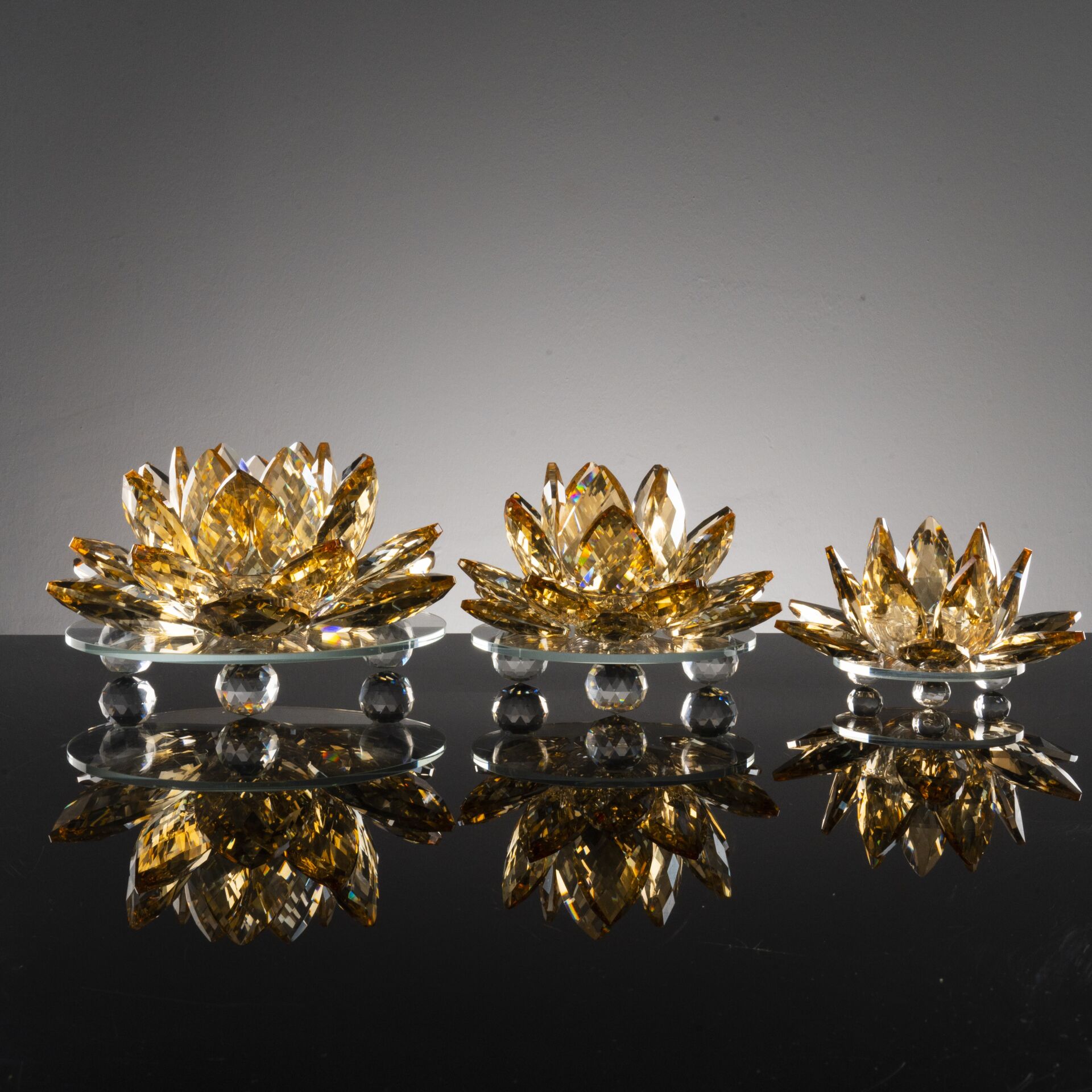 3'lü Cam Lotus Set - Şampanya